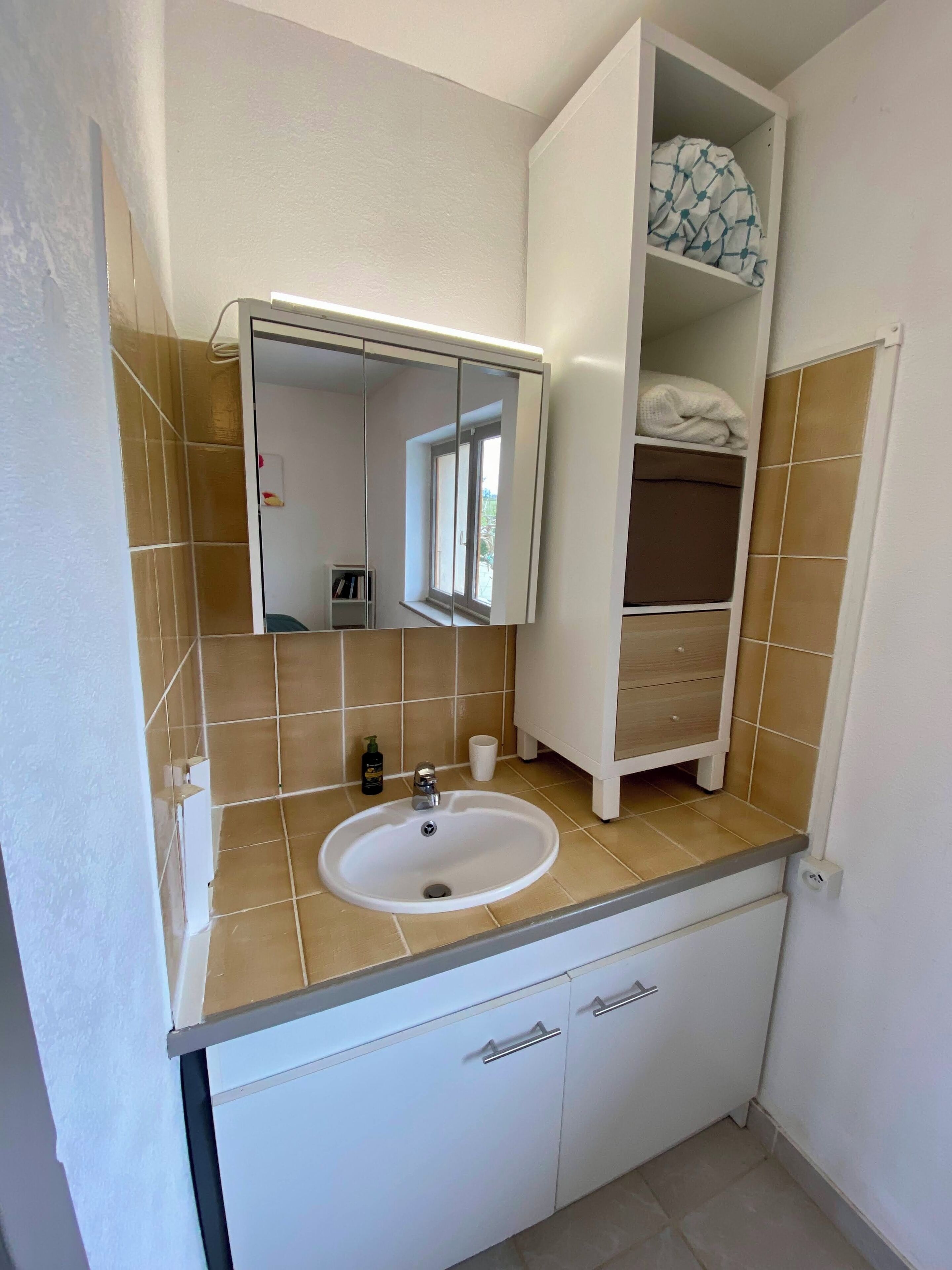 A bathroom with a white sink, a mirror, and a cabinet with a towel.