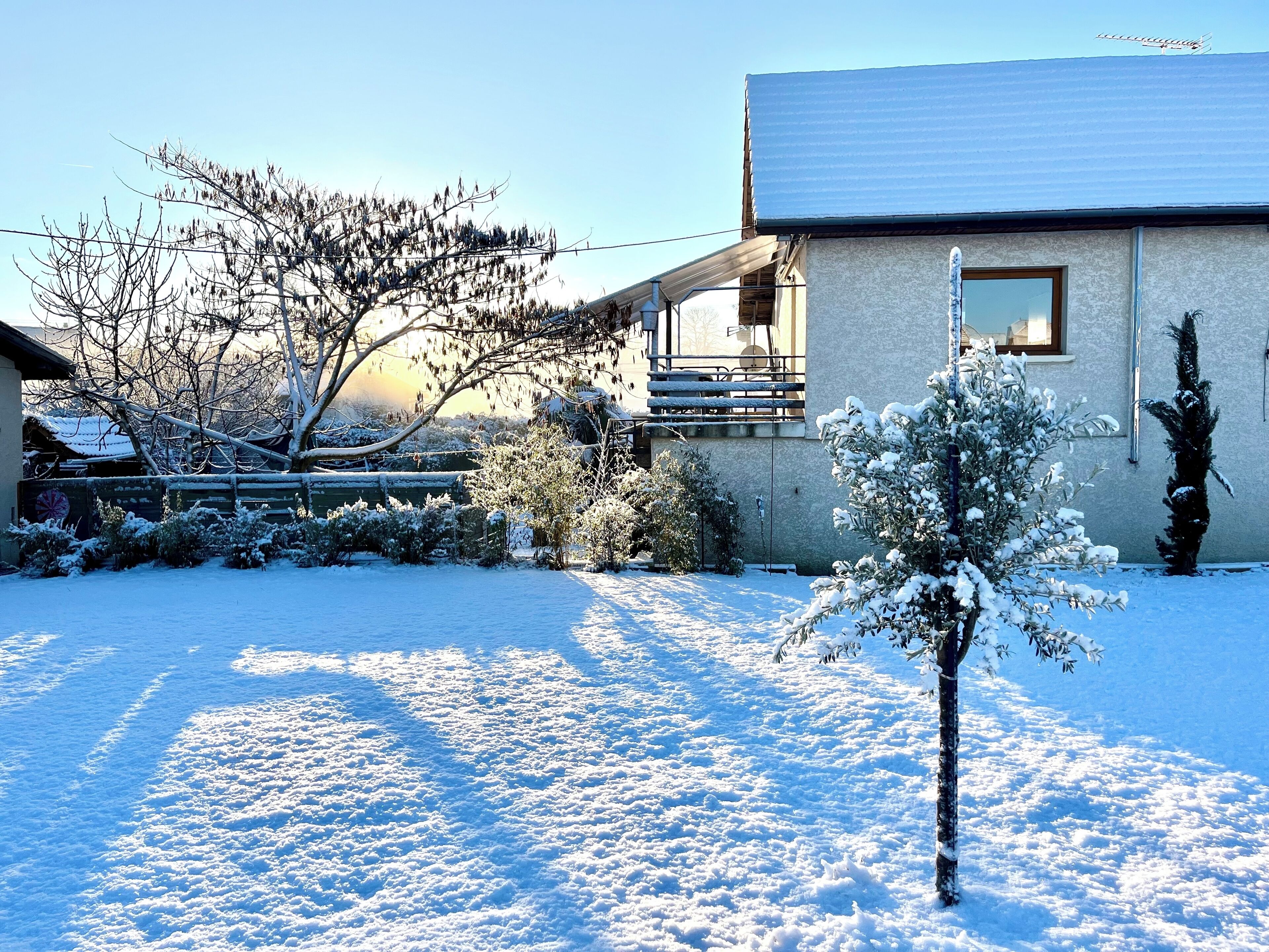 Jardines del alojamiento