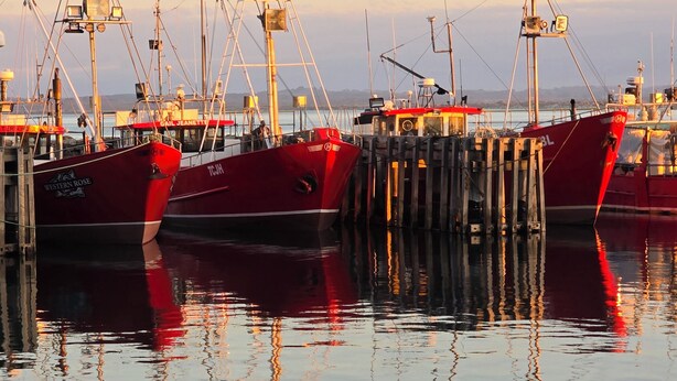 A marina with several red boats docked at wooden piers.