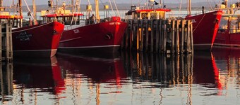 @ THE FLOWER BEDS
Walk to town and beach