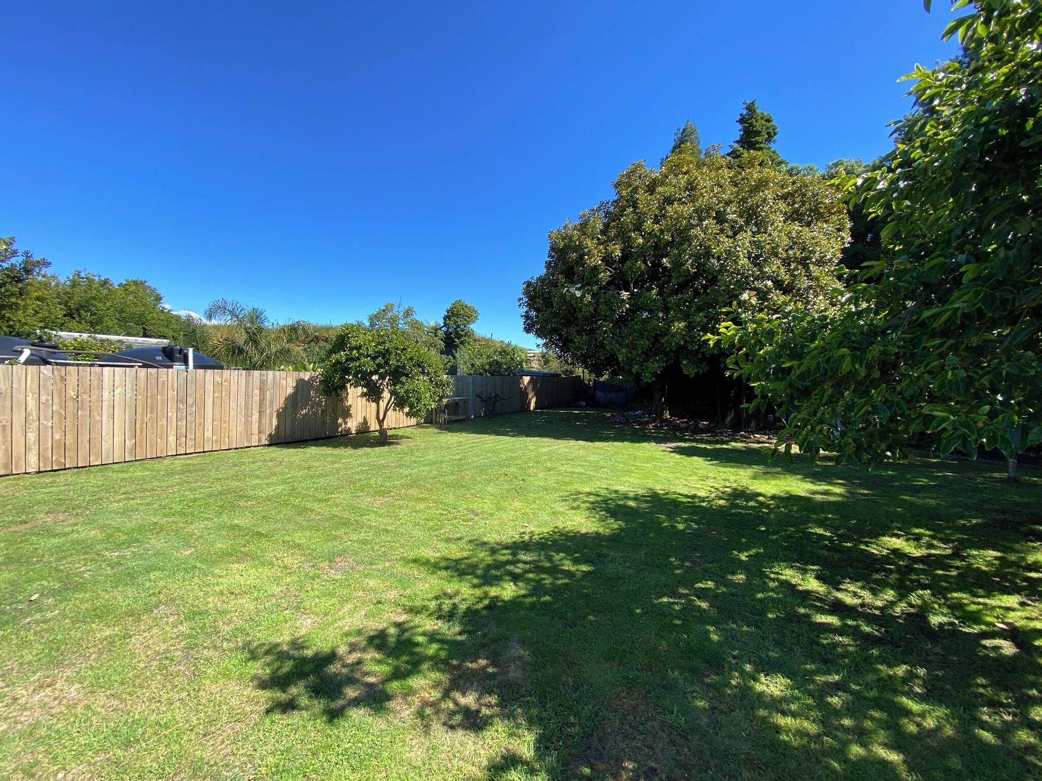 A backyard with a wooden fence, a lawn, and trees.