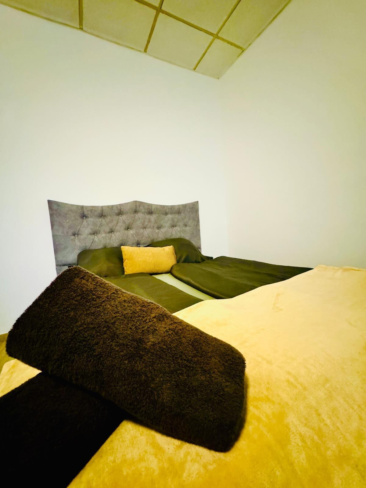 Basic-Apartment | Bügeleisen/Bügelbrett, kostenloses WLAN