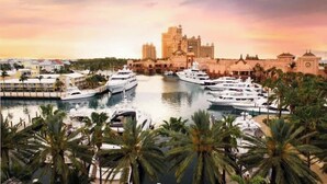A marina with multiple yachts docked, a large building with a distinctive architectural style in the background, and palm trees in the foreground. - Harborside Resort - Two Bedroom Small - Full Resort Access (Paradise Island)
