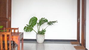 A hallway with a wooden door, a potted plant, and a wooden chair. - Caliza Unawatuna by Sea Cloud (Galle)