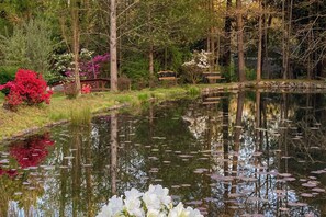 Property grounds - Private Patio & Pond: Serene Black Mountain Escape (Black Mountain)