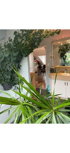 The Blue Gentian, view of Lake Saint Point