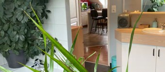 The Blue Gentian, view of Lake Saint Point