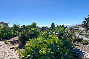 Property grounds - The Old Tobacco Shop Poleo House with private pool (Callao Salvaje)