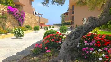 Un patio con muro de piedra, plantas en macetas y arbustos florecientes.