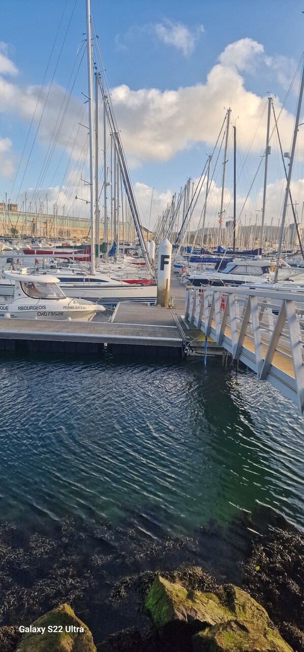 Marina - Large sailing yacht with all comfort (Cherbourg-en-Cotentin)