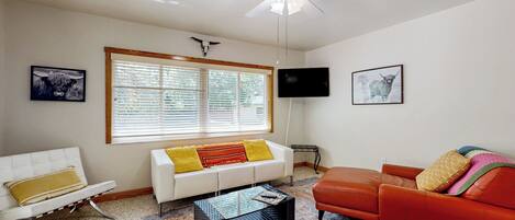 Télévision, cheminée, lecteur de DVD