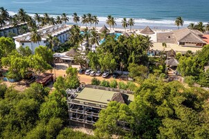 Vista al jardín