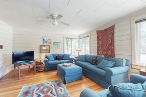 テレビ、暖炉、DVD プレーヤー