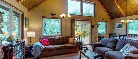 Télévision, cheminée, lecteur de DVD, livres