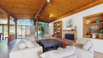 TV, fireplace, books