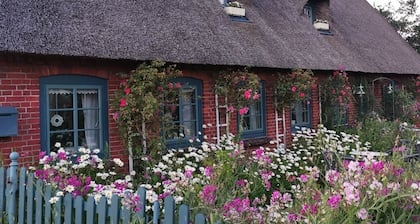 Beautiful, spacious & bright apartment by the sea - atrium in Angeln!