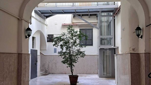 Un ampio cortile con un albero in vaso, soffitti a volta e vista su un edificio attraverso una finestra di vetro.