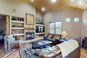 TV, fireplace, DVD player, books
