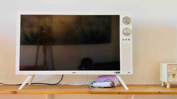 Television