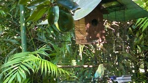 Ein Vogelhaus an einem Baum befestigt, mit einem grünen Dach, umgeben von dichtem Grün.
