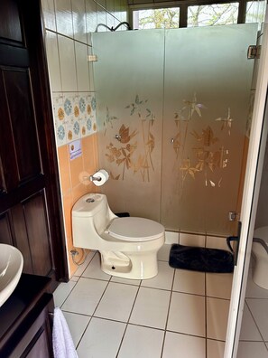 Hair dryer, towels, soap, shampoo