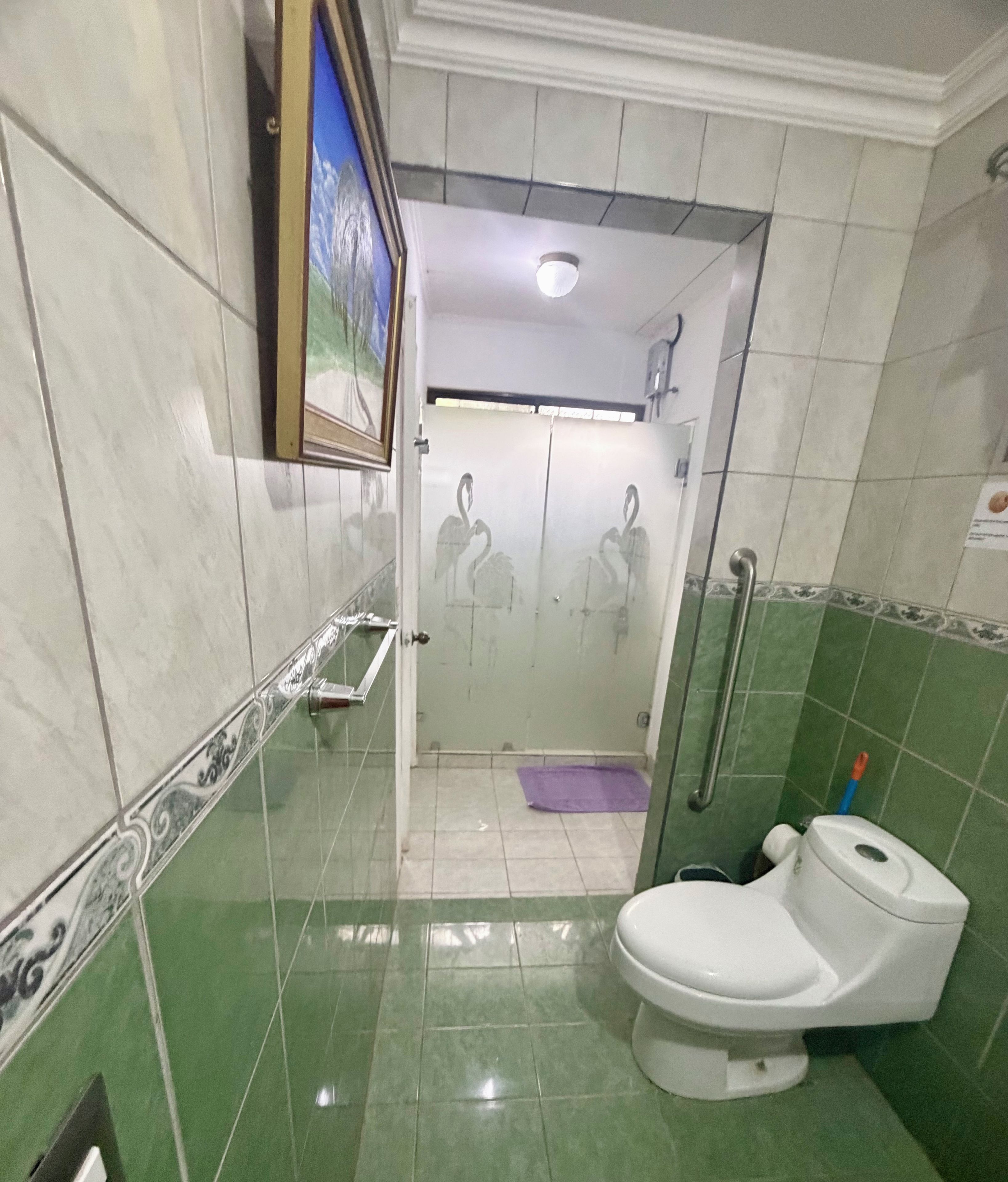 Hair dryer, towels, soap, shampoo