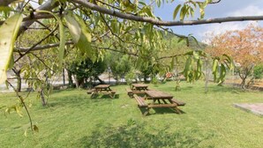 A grassy outdoor area with picnic tables and trees. - Al Borgo Village (Pietra Ligure)