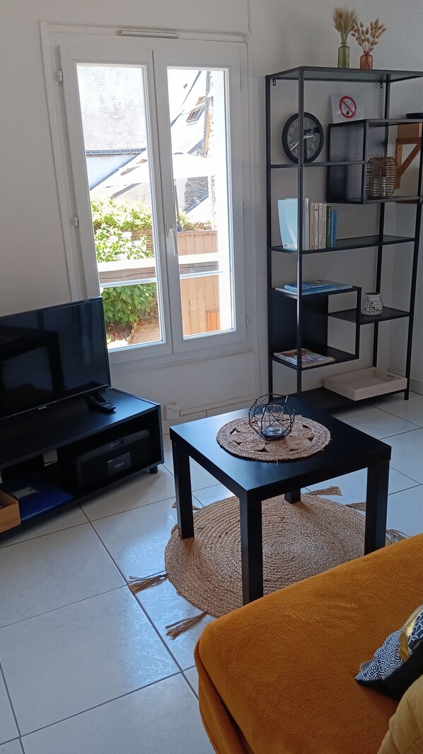 A living room with a TV, a coffee table with a woven placemat, a bookshelf, and a window with a view of a wooden fence and greenery. - Vacation Rental in the Historic Sainte Croix Neighborhood (Josselin)