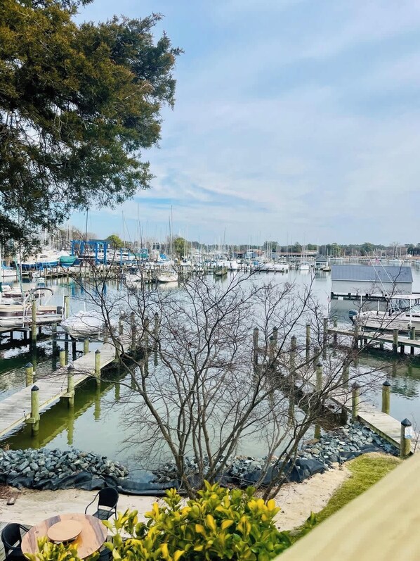 A marina with multiple docks and boats, surrounded by trees and a clear sky.