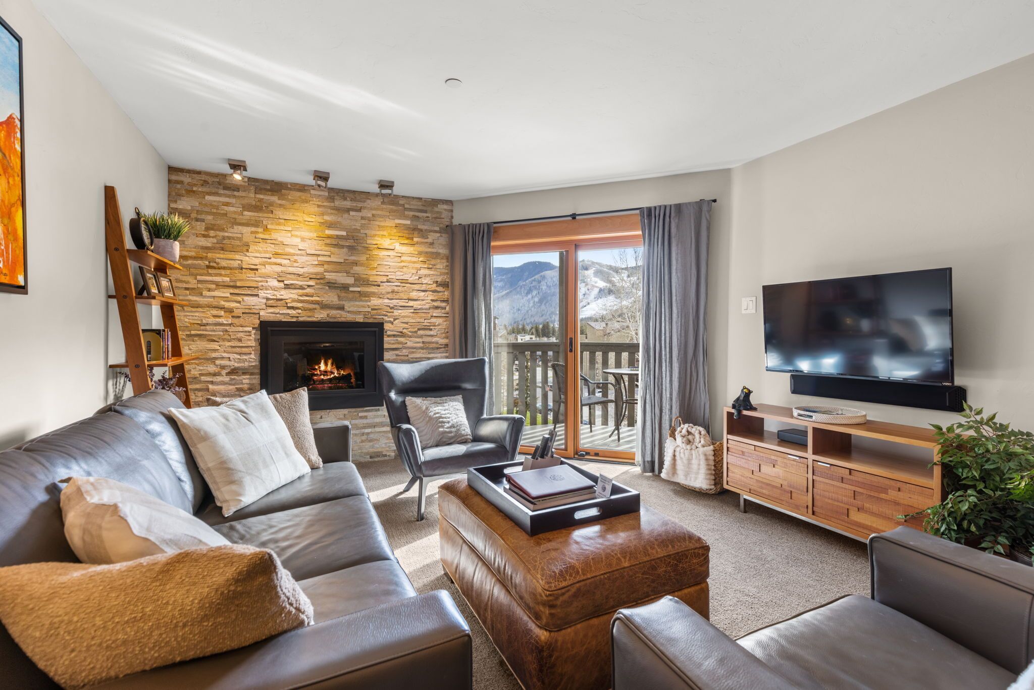 Télévision, cheminée, livres