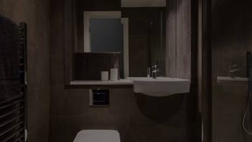 Shower, hair dryer, soap, toilet paper