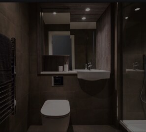 Dusche, Haartrockner, Seife, Toilettenpapier