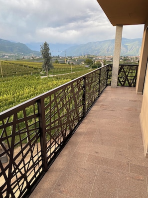 Un balcon offrant une vue sur les vignes et les montagnes lointaines.