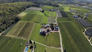 An aerial view of a vineyard with rows of grapevines, a swimming pool, and buildings scattered throughout. - New vacation apartments in the middle of the vineyards (Eppan an der Weinstraße)