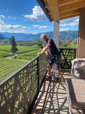 Un balcón con vista a viñedos y montañas.