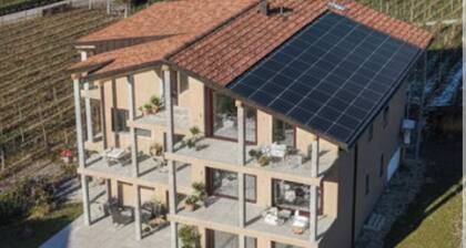 New vacation apartments in the middle of the vineyards