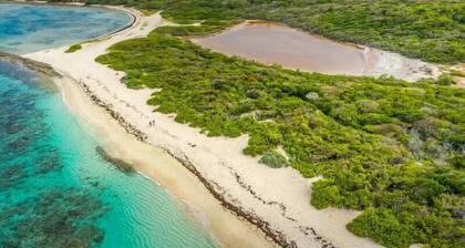 Villa et Appartement indépendant