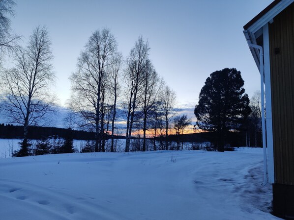 A snowy landscape with trees and a building.