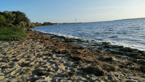 A beach with sand and seaweed, a clear sky, and a distant view of a boat.