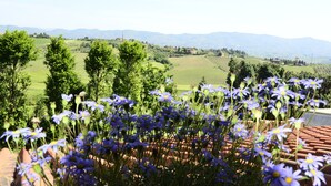 A view of a vineyard with rows of grapevines and a distant mountain range. - Agriturismo Tenuta Isola Verde (Cerreto Guidi)