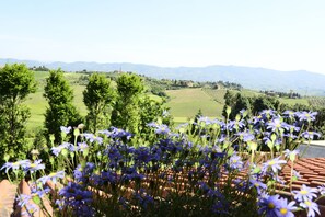 Honeymoon-Doppelzimmer, Gartenblick | Kostenloses WLAN