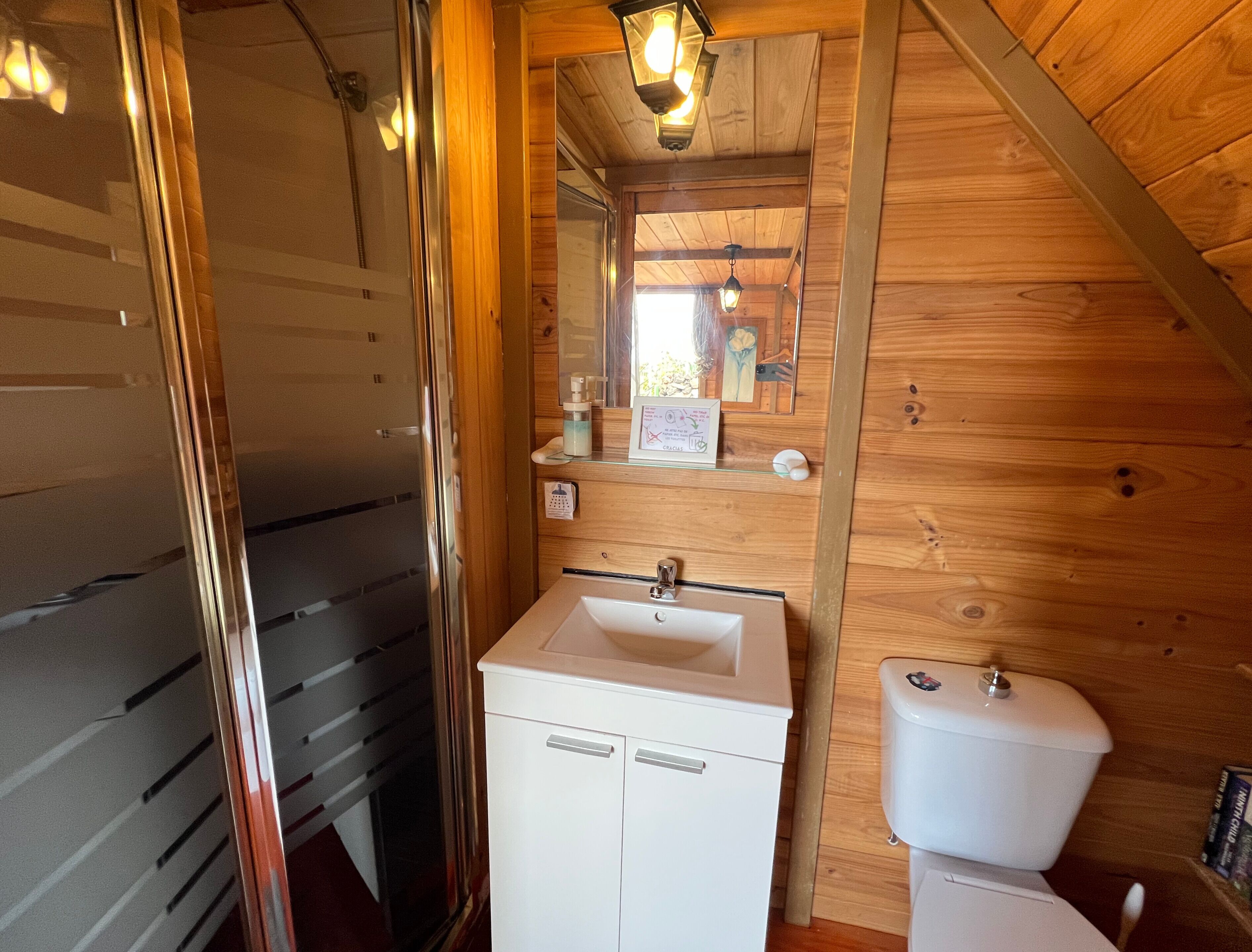 Handdoeken, zeep, toiletpapier