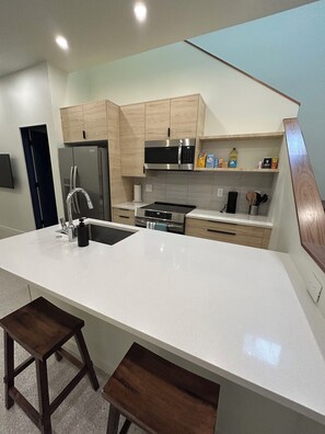 Fridge, microwave, oven, stovetop - Modern 1-bedroom apartment in downtown Carbondale (Carbondale)