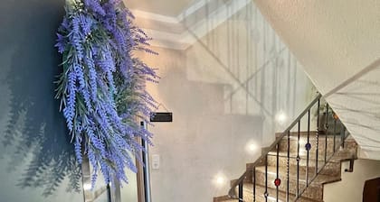 FeWo mit Terrasse Neuwied & Koblenz