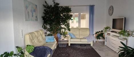 Televisión y libros