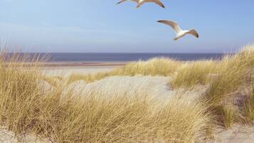 Ranta lähistöllä, rantapyyhkeitä