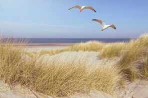 A beach with sand dunes and two seagulls flying. - Facilities & Highlights (Timmendorfer Strand)