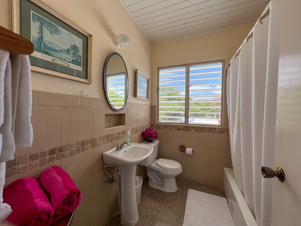 A bathroom with a sink, toilet, and a window with a view of greenery.