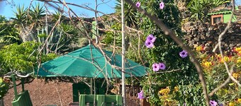 Stargaze at Lanzarote Accommodation: Unique experience in Cabaña de Lola