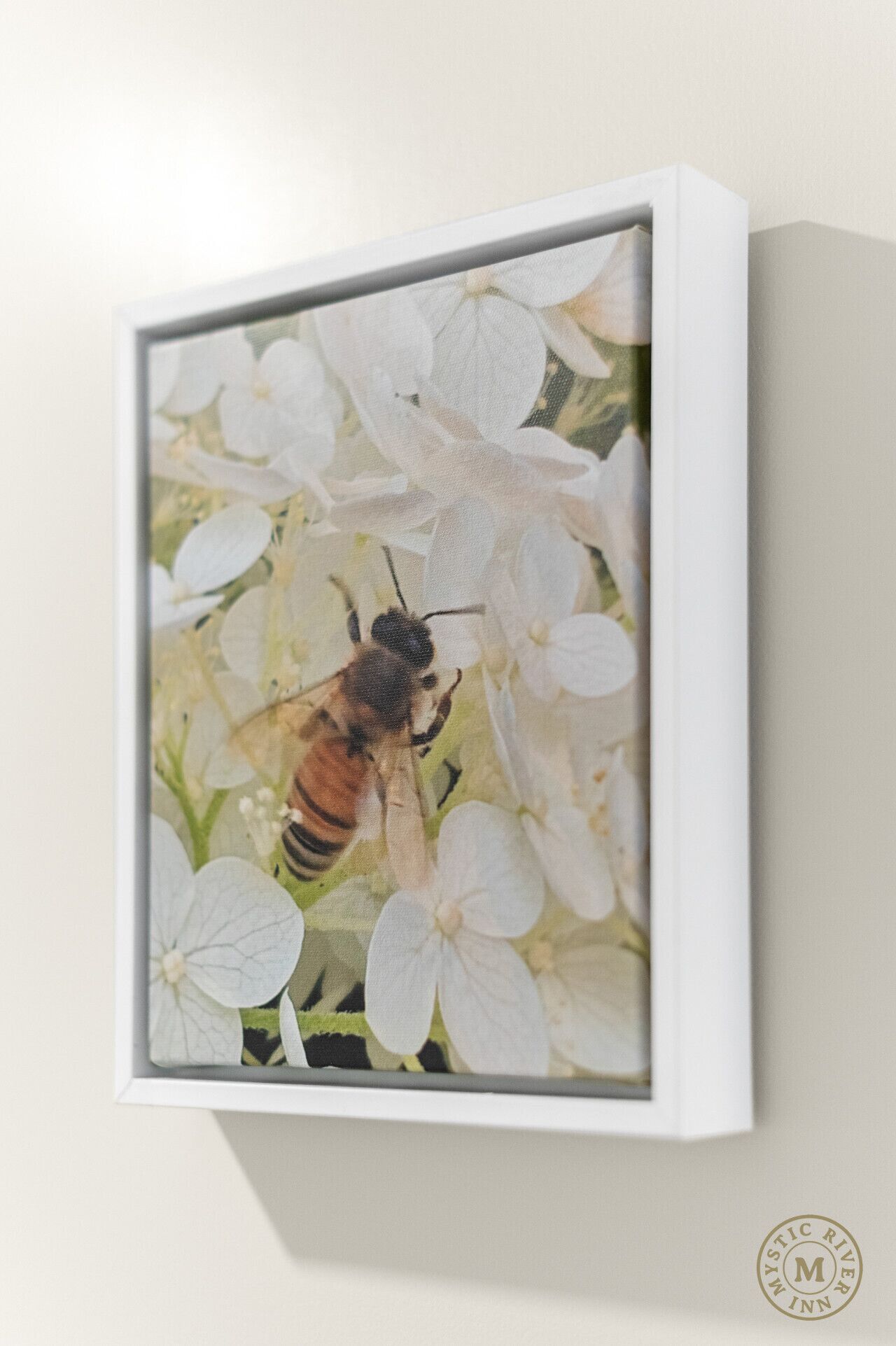 A framed photograph of a bee on white flowers, likely taken indoors.